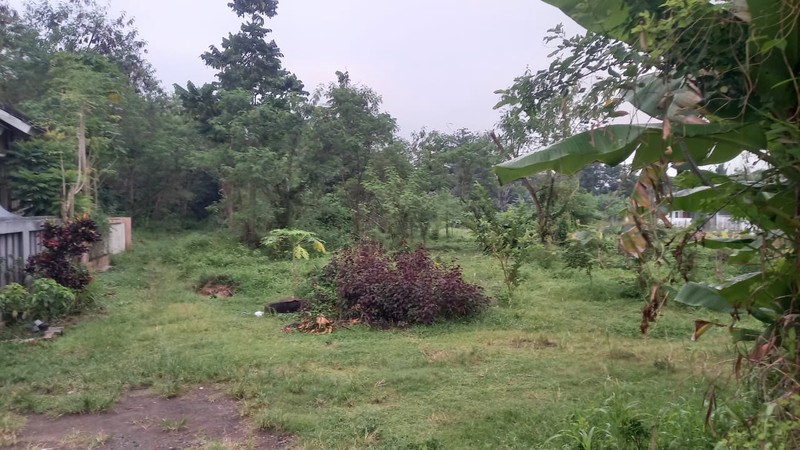 Tanah Strategis 2621 Meter Persegi di Jalan Kebon Agung, Sleman Cocok Untuk Investasi/Cluster