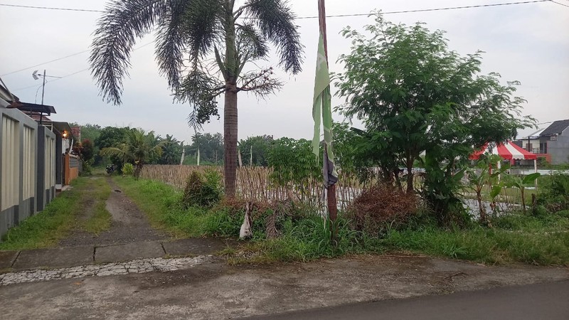 Tanah Strategis 2621 Meter Persegi di Jalan Kebon Agung, Sleman Cocok Untuk Investasi/Cluster