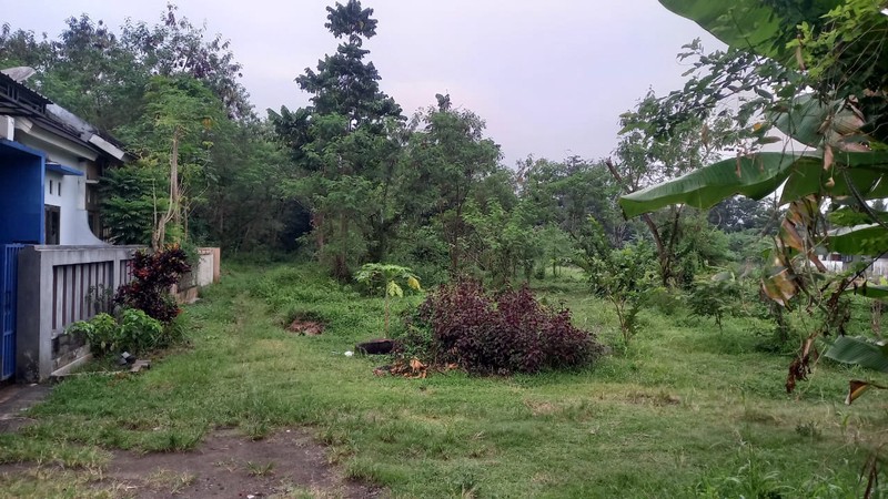 Tanah Strategis 2621 Meter Persegi di Jalan Kebon Agung, Sleman Cocok Untuk Investasi/Cluster