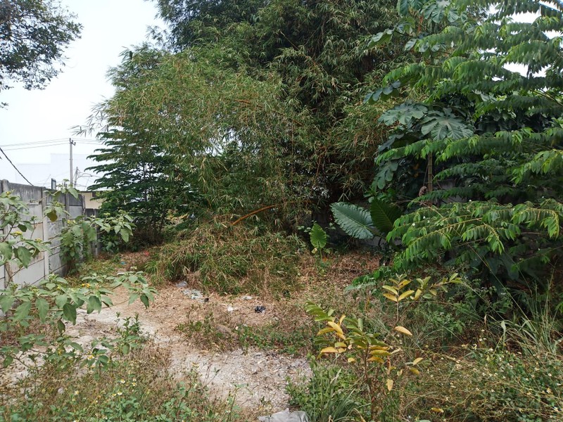 Tanah Dijual di Duren Tiga