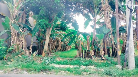 Tanah Dijual Raya Ngemplak Sambikerep Surabaya Barat 