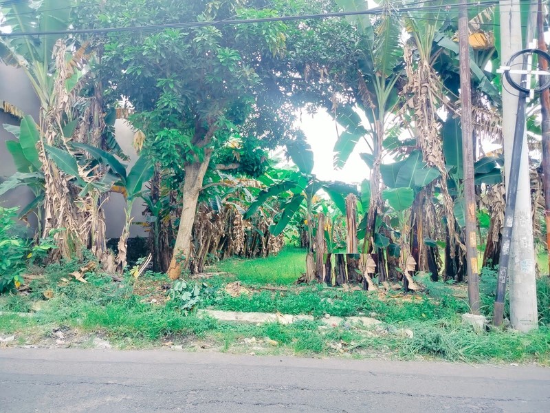 Tanah Dijual Raya Ngemplak Sambikerep Surabaya Barat 