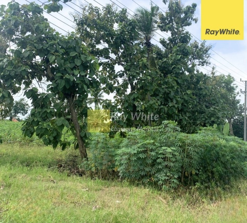 Dijual Tanah cocok untuk usaha di terbanggi lampung Tengah