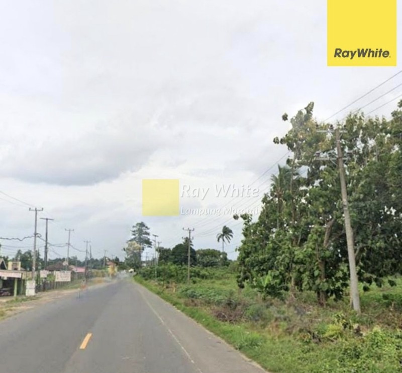 Dijual Tanah cocok untuk usaha di terbanggi lampung Tengah