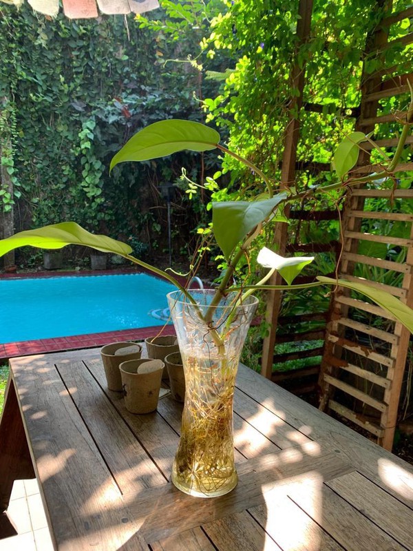 Rumah Nyaman dan Siap Huni di Pondok Labu, Cilandak, Jakarta Selatan