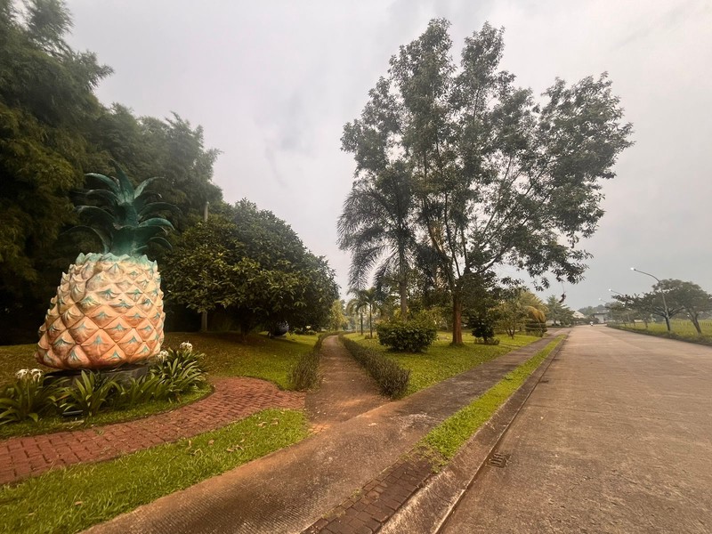 Dijual Cepat! Rumah Parung Panjang Bogor - SHM, 2 KT, Carport, Fasilitas Lengkap, Nego!