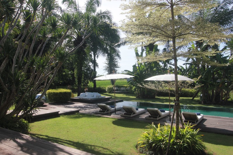 For Annual / Monthly rental - Luxury modern huge  villa with rice field view in quiet spot Canggu - Bali