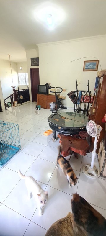 Dijual Rumah Strategis Semolowaru Elok Surabaya Dekat Galaxy Mall & ITS