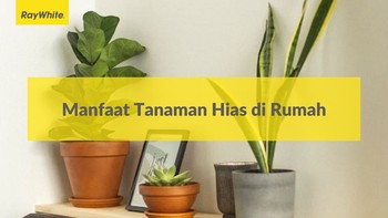 Manfaat Tanaman Hias di Rumah