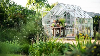 Semakin Indah dan Mewah, Inilah Rekomendasi 7 Jenis Tanaman untuk Rooftop Garden 