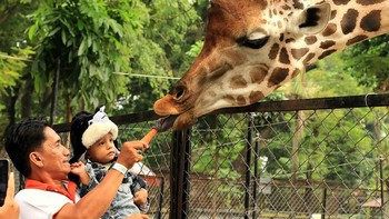 Kebun Binatang Surabaya: Wisata Edukatif Yang Menyenangkan