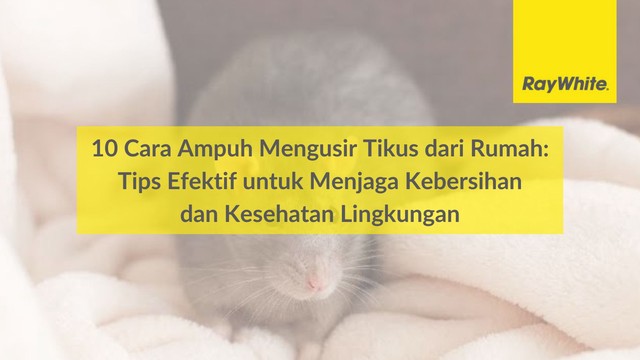 10 Cara Ampuh Mengusir Tikus dari Rumah: Tips Efektif untuk Menjaga Kebersihan dan Kesehatan Lingkungan