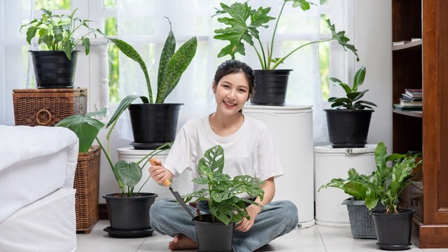 8 Jenis Tanaman Hias Penghasil Oksigen yang Bikin Rumah Makin Segar