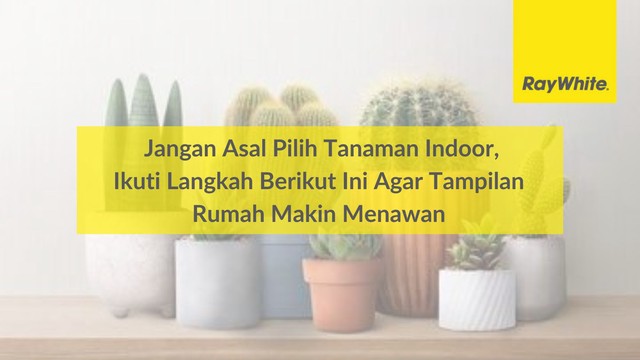 Jangan Asal Pilih Tanaman Indoor, Ikuti Langkah Berikut Ini Agar Tampilan Rumah Makin Menawan