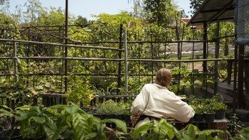 Kebun Vertikal: Solusi Kreatif untuk Menanam dengan Ruang Terbatas