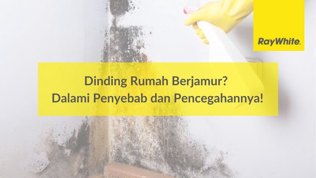 Dinding Rumah Berjamur? Dalami Penyebab dan Pencegahannya!