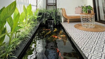 Ingin Membangun Kolam Ikan di Rumah? Simak Pertimbangan Berikut!