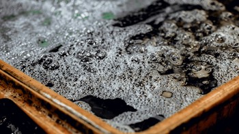 Tips Mengatasi Air Keran yang Keruh di Rumah!