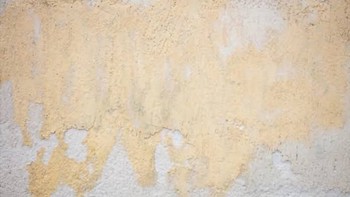 5 Penyebab Cat Rumah Mudah Luntur dan Cara Ampuh dalam Mengatasinya!