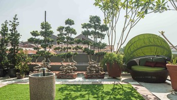 Bingung Cara Merawat Rooftop Garden di Iklim Tropis Indonesia? Berikut Panduannya!