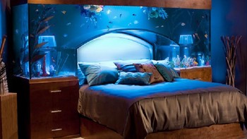10 Contoh Desain Aquarium Unik untuk Memperindah Rumah Anda