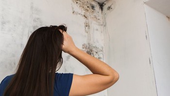 Cara Mengatasi Rumah yang Mudah lembab Akibat Perubahan Cuaca: Solusi Praktis untuk Hunian Lebih Sehat