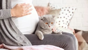 Mengapa Ibu Hamil Tidak Boleh Dekat-dekat dengan Kucing? Penjelasan Lengkap yang Jarang Dibahas