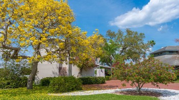 Rekomendasi Jenis-Jenis Pohon yang Cocok untuk Ditanam di Halaman Rumah: Tips Menata Halaman yang Asri dan Sejuk