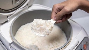 Kenapa Nasi Cepat Basi di Rice Cooker? Penyebab, Cara Mencegah, dan Tips Menjaga Nasi Tetap Awet