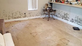 Wajib Diperhatikan! Hal yang Harus Dilakukan Setelah Rumah Terkena Banjir