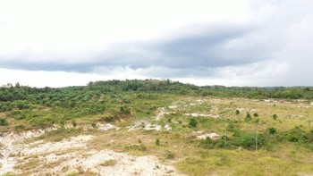 Apakah Tanah Terlantar Bisa Menjadi Hak Milik Warga? Simak Penjelasan Hukumnya di Sini!