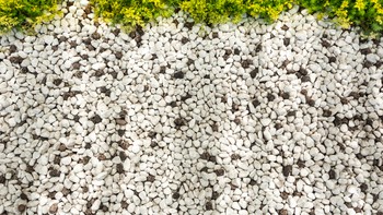 Berikut 7 Jenis Batu yang Cocok Sebagai Penghias Taman