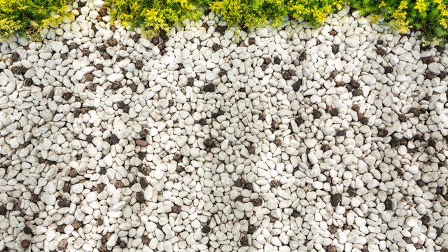 Berikut 7 Jenis Batu yang Cocok Sebagai Penghias Taman