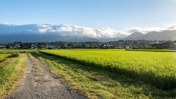 Apakah Tanah Garapan Bisa Menjadi Hak Milik? Penjelasan Lengkap dan Perspektif Hukum di Indonesia