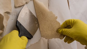 Tips Menghilangkan Lem di Tembok Bekas Wallpaper Tanpa Merusak Cat dan Permukaannya