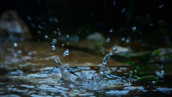 Waspada! Dampak Buruk Genangan Air terhadap Nilai Jual dan Sewa Properti Komersial Anda