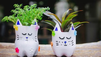 Cara Kreatif Mengubah Limbah Botol Bekas Jadi Dekorasi Estetik dan Bernilai!