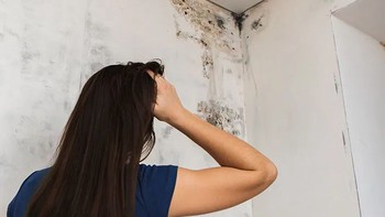 Penyebab Munculnya Black Mold di Tembok: Masalah Rumah yang Sering Diabaikan