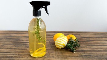 Cara Membuat Pengharum Ruangan dari Lemon dan Jeruk yang Alami, Segar, dan Tahan Lama