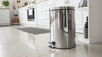 Mengapa Belatung Muncul di Tempat Sampah? Berikut Cara Ampuh Membasminya!