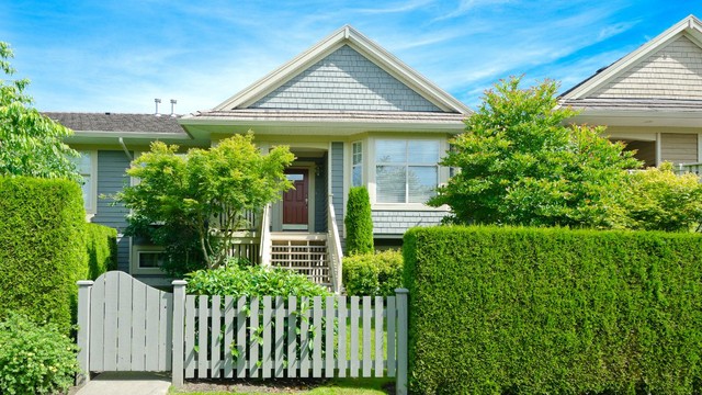 Tanaman yang Cocok Ditanam di Atas Pagar Rumah Solusi untuk Hunian Lebih Asri dan Estetik